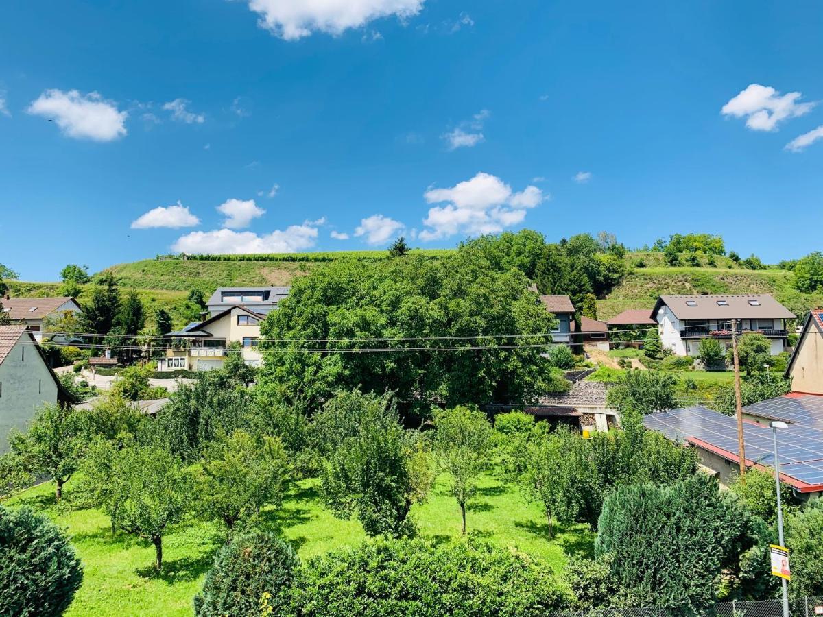 Ferienwohnung Liesel - Kuche, Bad, Wlan, 3 Schlafzimmer, Parkplatz Malterdingen エクステリア 写真